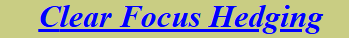 Clear Focus Hedging