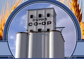 Dumas Co-op Elevators