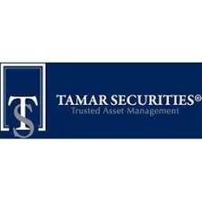 Tamar Securities