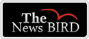 Thenewsbird